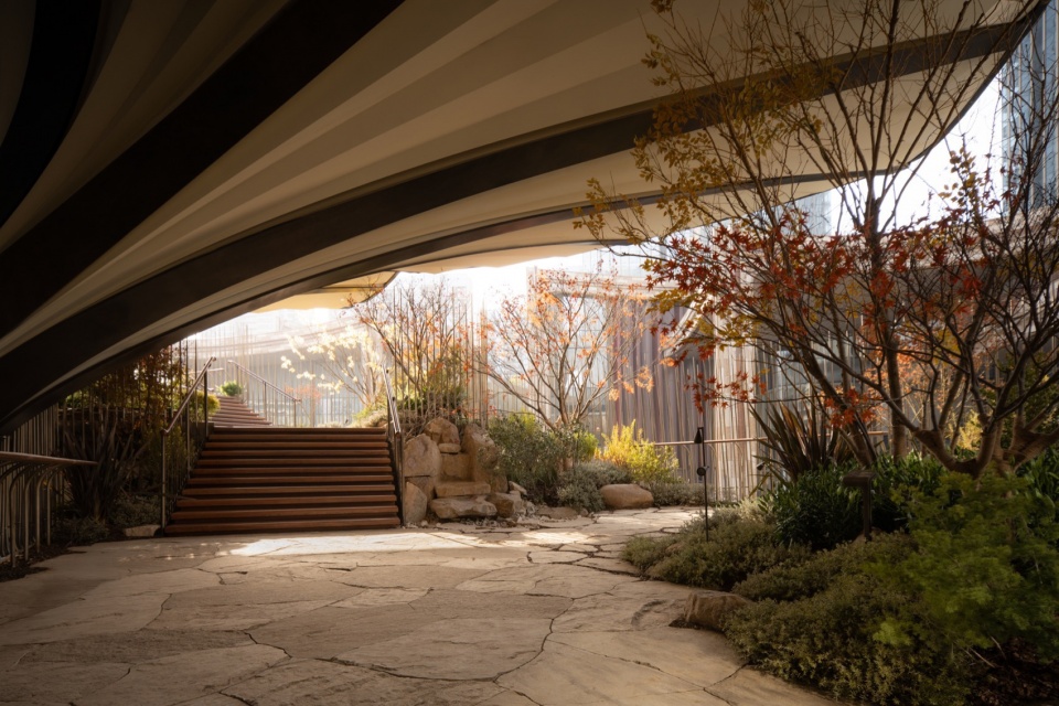 Xi an tree of the Mix city Xi an CR LAND by WTD GROUP