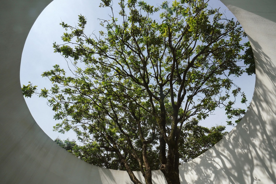 courtyard under longan trees by spacework architects