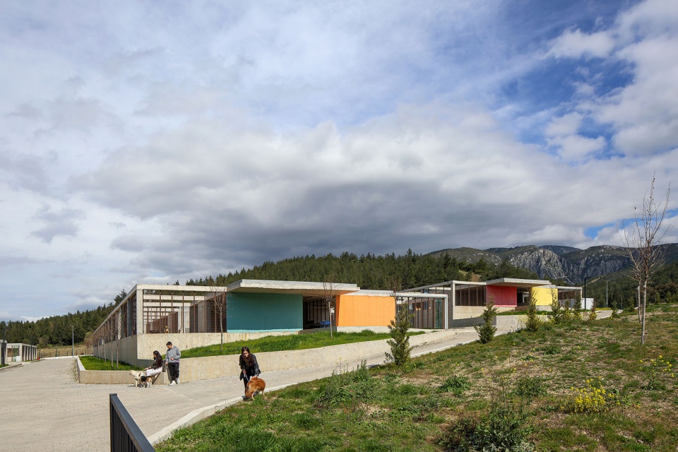 PAKO STREET ANIMAL SOCIAL LIFE CAMPUS Mert Uslu Architecture