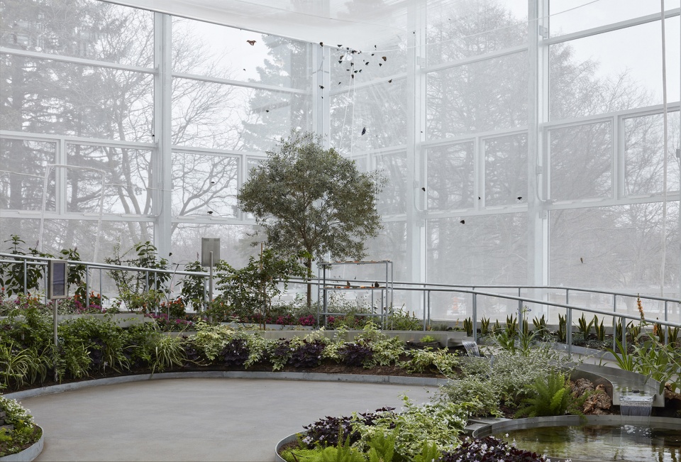new montreal insectarium by kuehn malvezzi