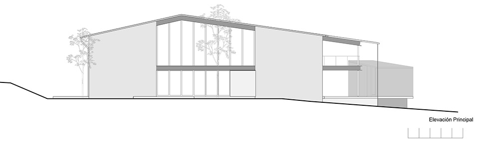 the house of the tall trees by 1i arquitectura