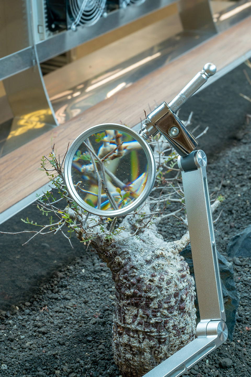 future laboratory of botanists by ruhaus studio