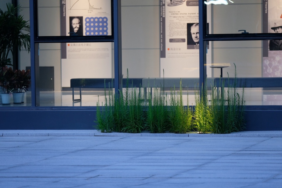 The Fusion Garden of the National Research Center for Materials Science