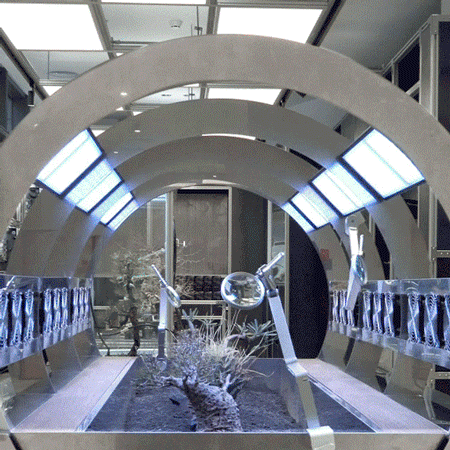 future laboratory of botanists by ruhaus studio