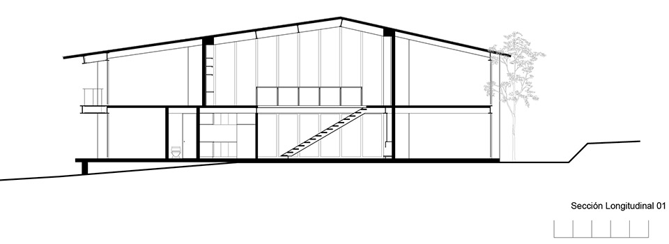 the house of the tall trees by 1i arquitectura
