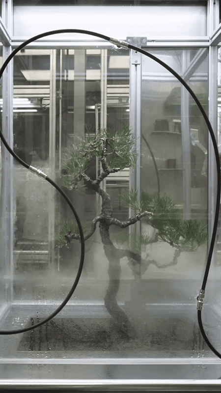 future laboratory of botanists by ruhaus studio