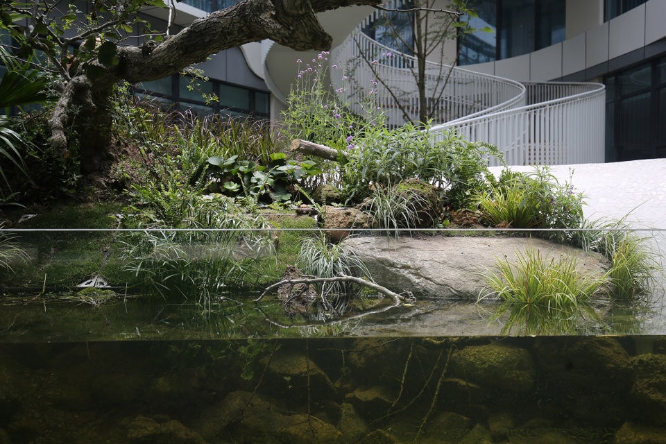 soong ching ling kindergarten by blarchitectes