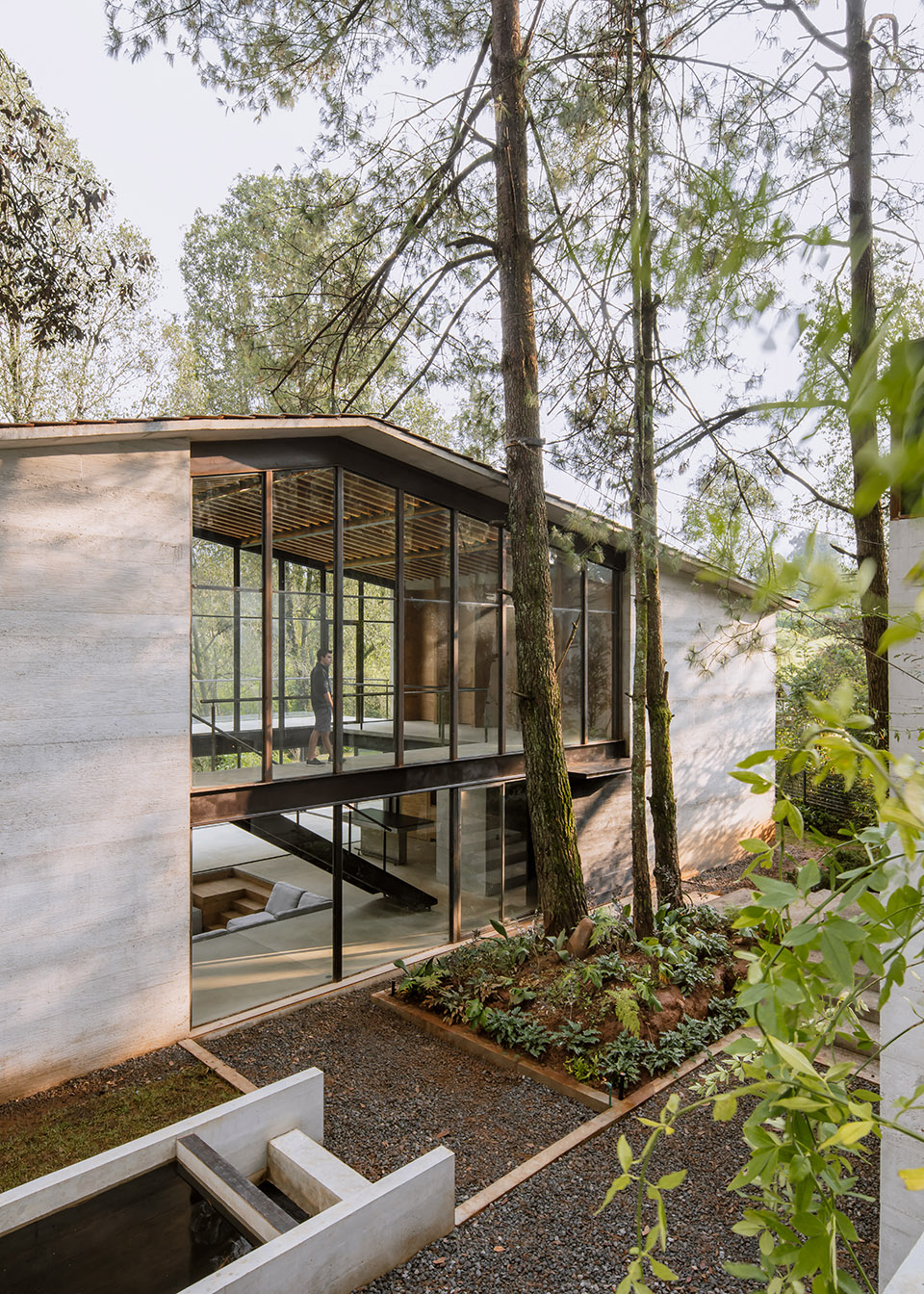 the house of the tall trees by 1i arquitectura