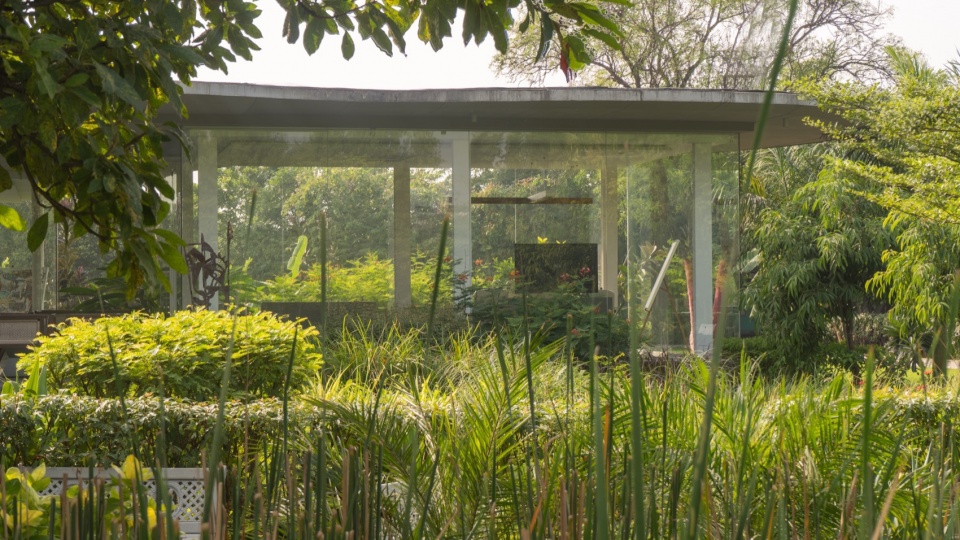 Amoeba Hiren Patel Architects