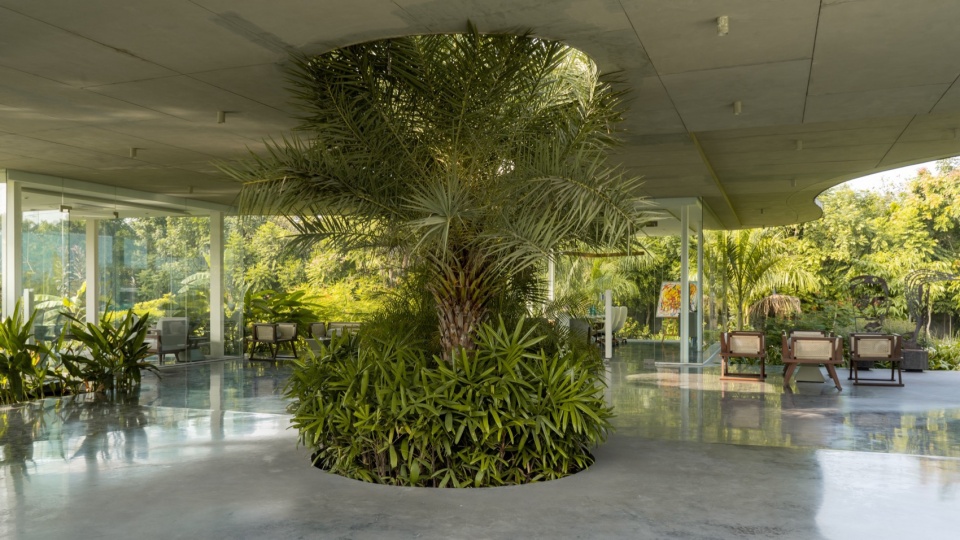Amoeba Hiren Patel Architects