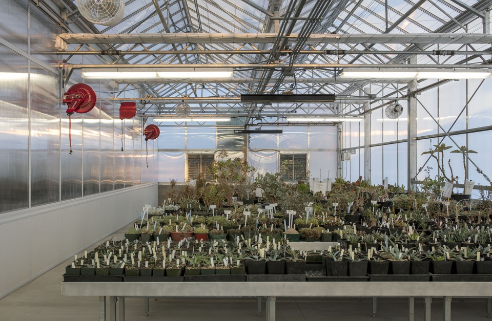 hazel hare center for plant science by 180 degrees design build colab studio