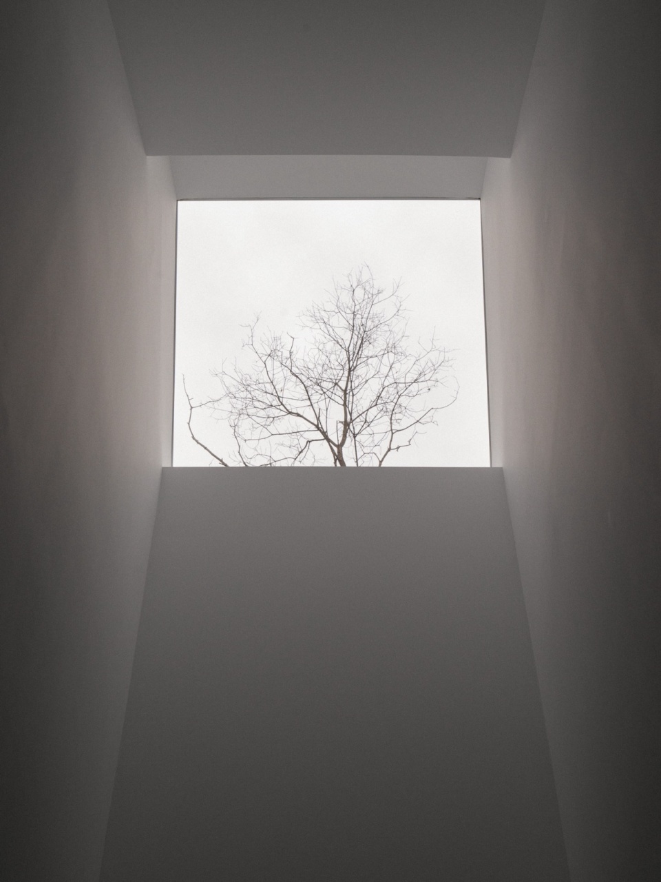 HABITAT SELENITE naturehumaine architects