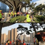 西安万象城生命之树 / WTD纬图设计