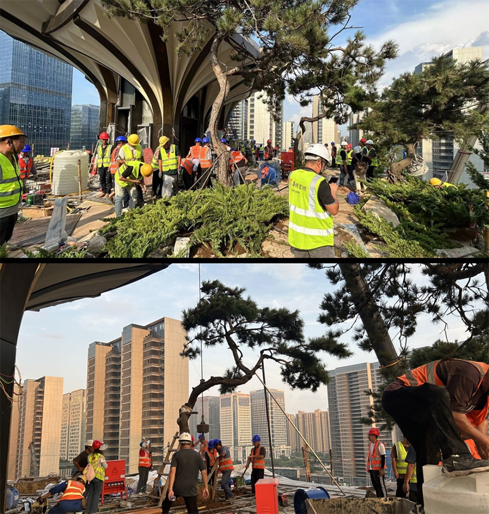 Xi an tree of the Mix city Xi an CR LAND by WTD GROUP 拷贝