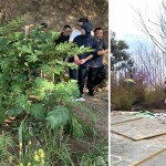 西安万象城生命之树 / WTD纬图设计