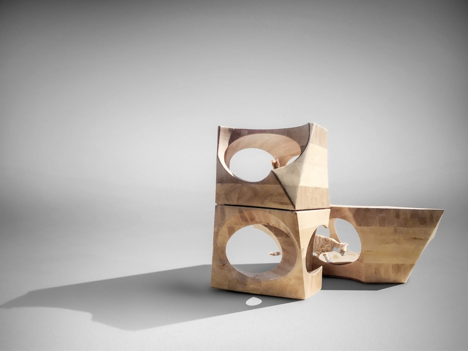 .studio close up with cat2022.12.25 HD8 co habitable object