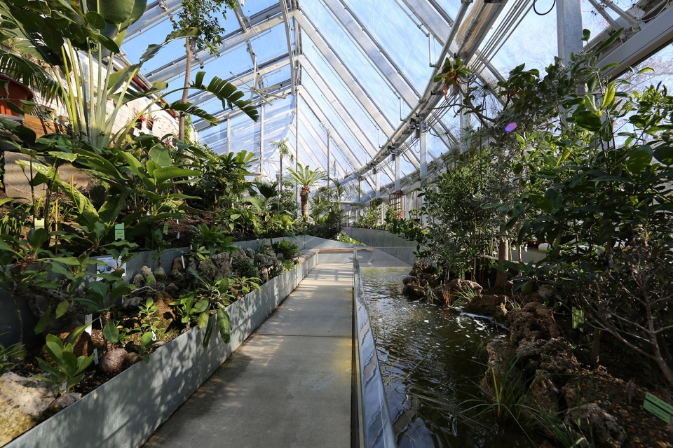 wellesley global flora conservatory by kennedy violich architecture