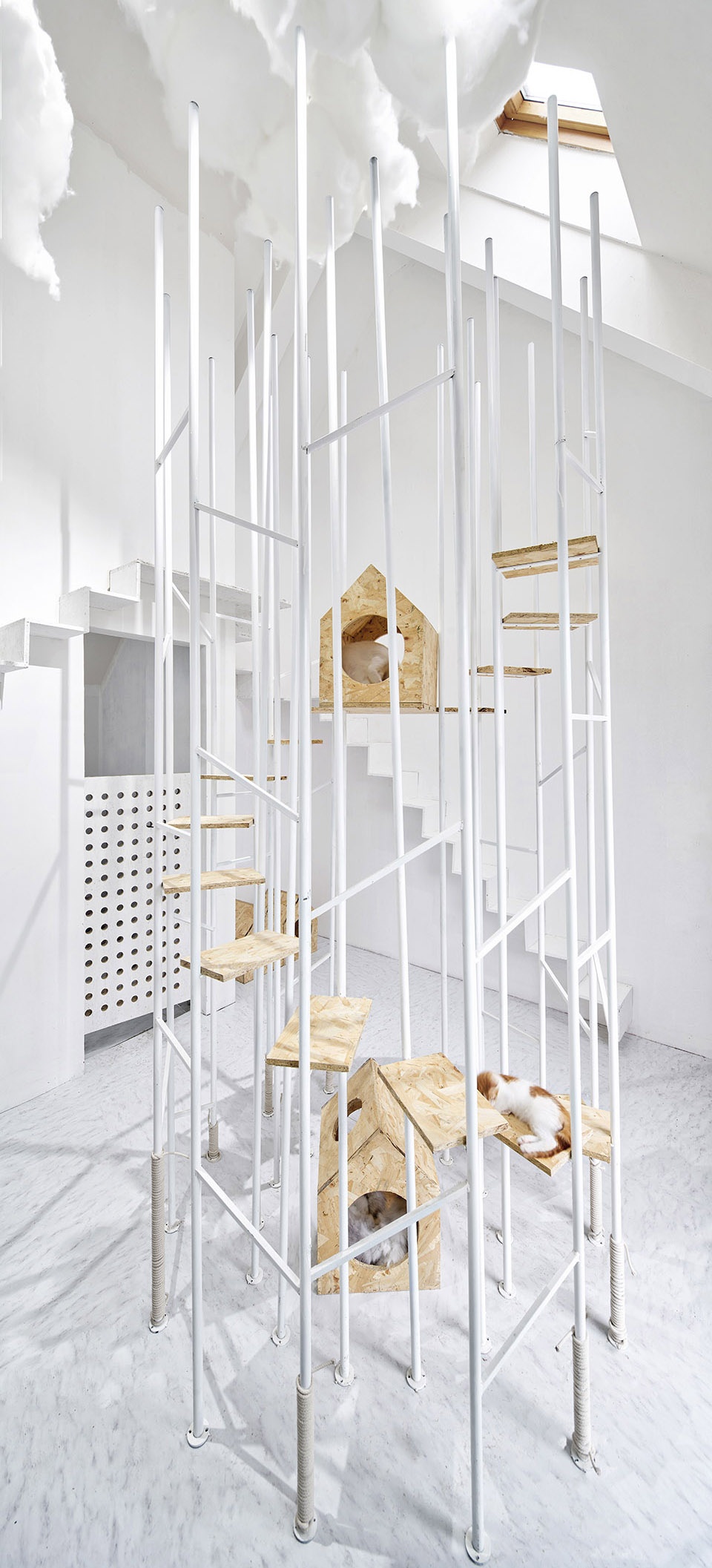 wildcats forest china by atdesign