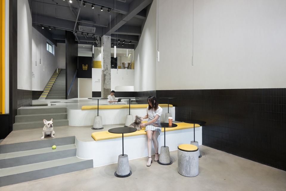 nova pets china by say architects