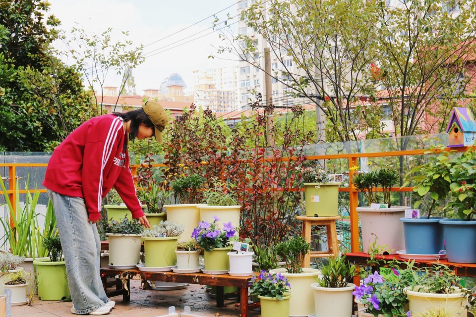 2024 national community garden design competition and community engagement action