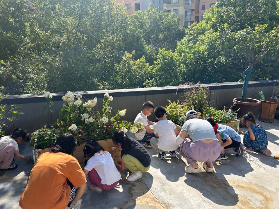 2024 national community garden design competition and community engagement action