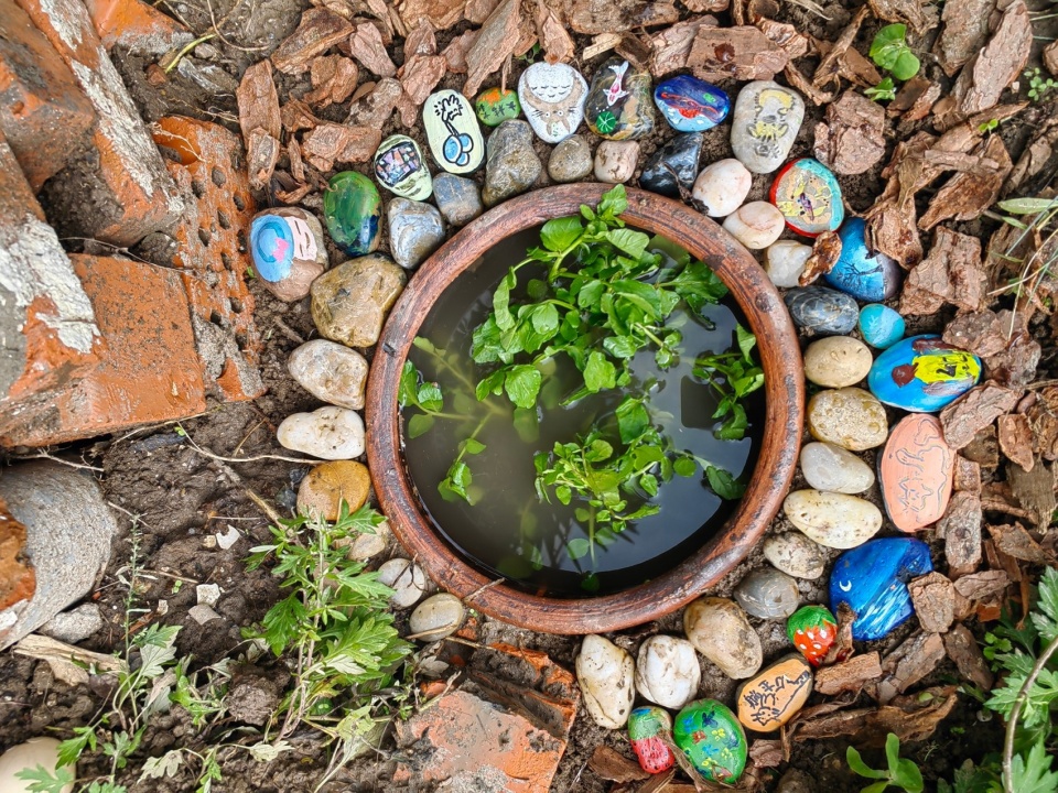 2024 national community garden design competition and community engagement action