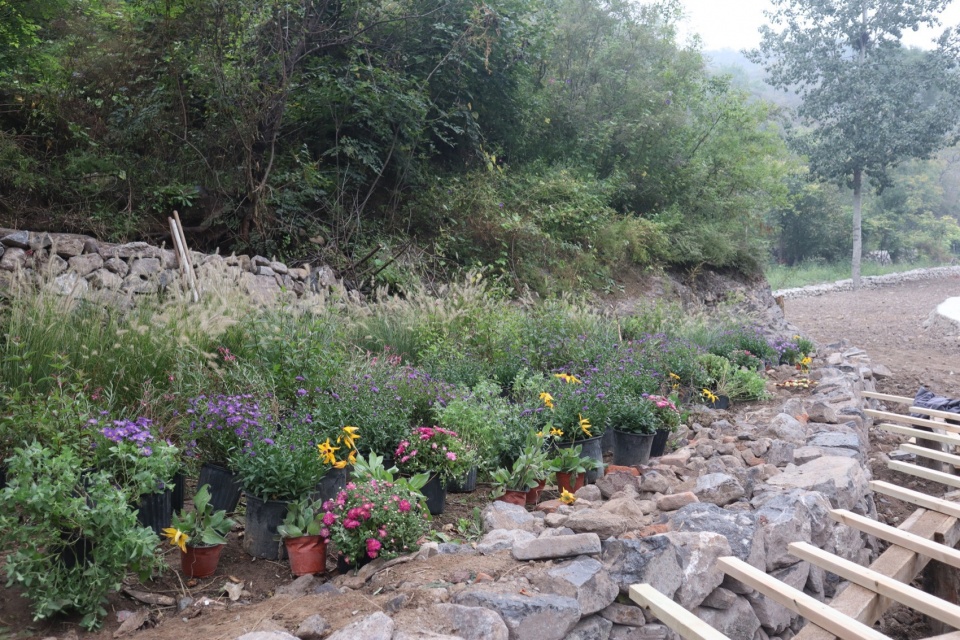 2024 national community garden design competition and community engagement action