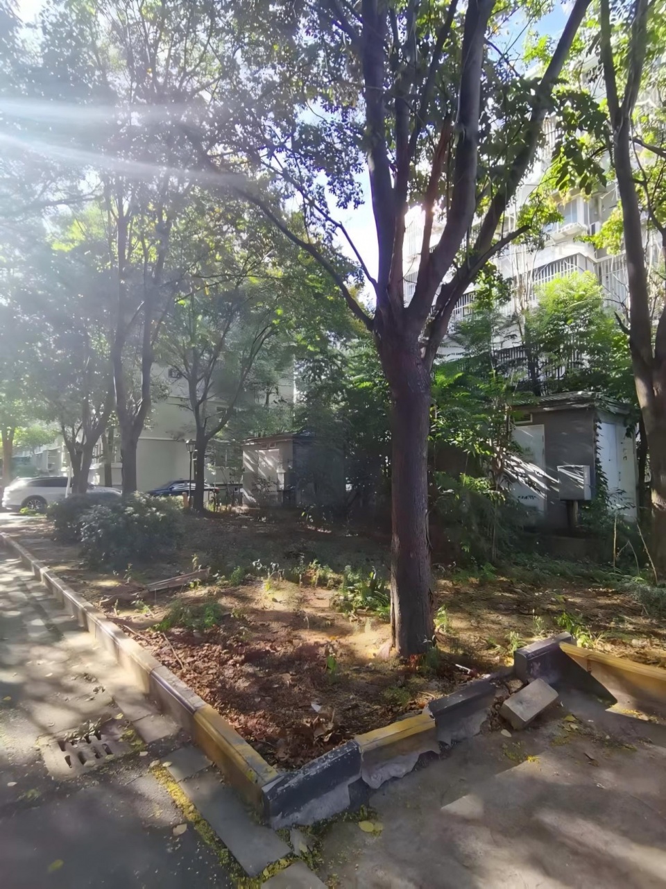 2024 national community garden design competition and community engagement action