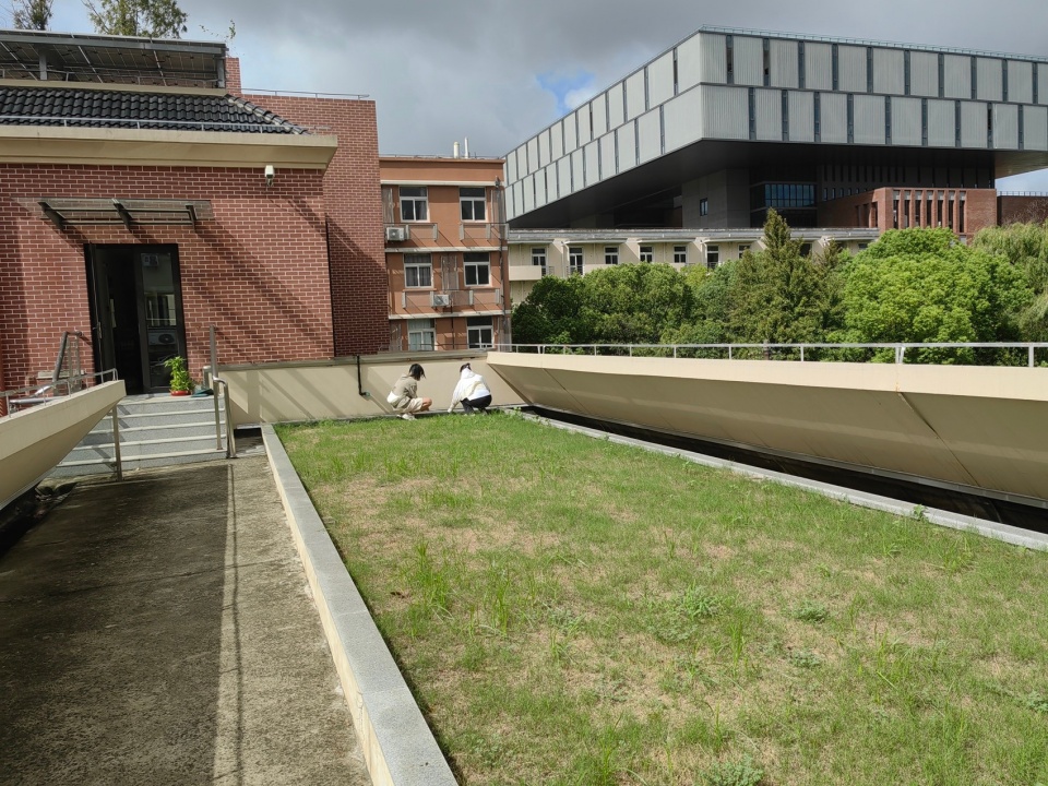 2024 national community garden design competition and community engagement action
