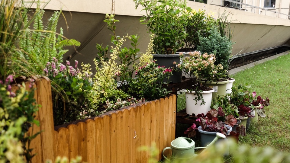 2024 national community garden design competition and community engagement action