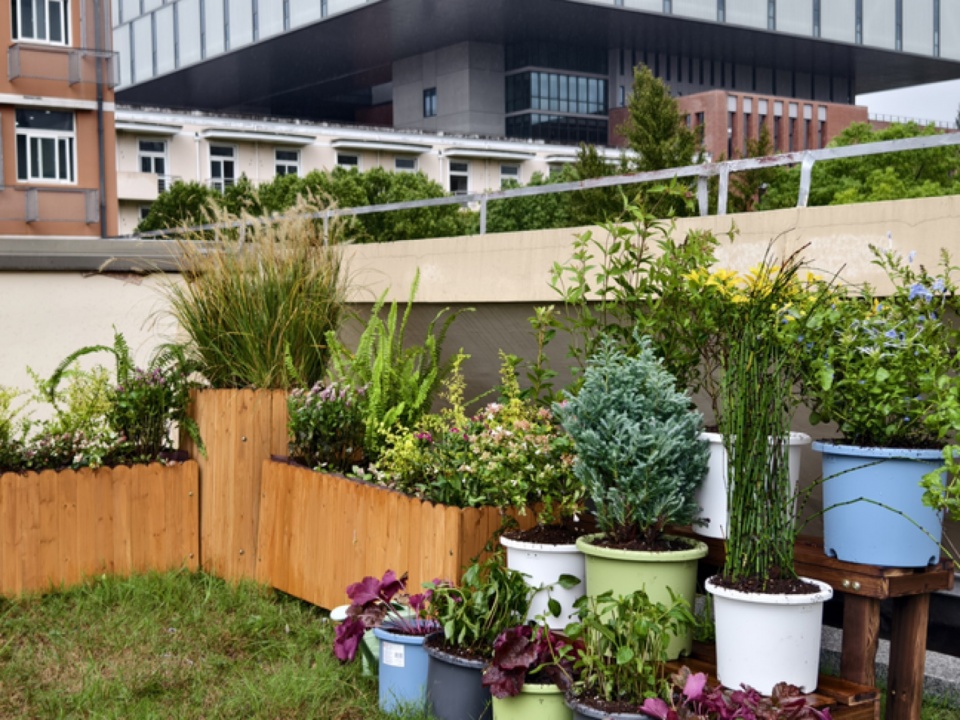 2024 national community garden design competition and community engagement action