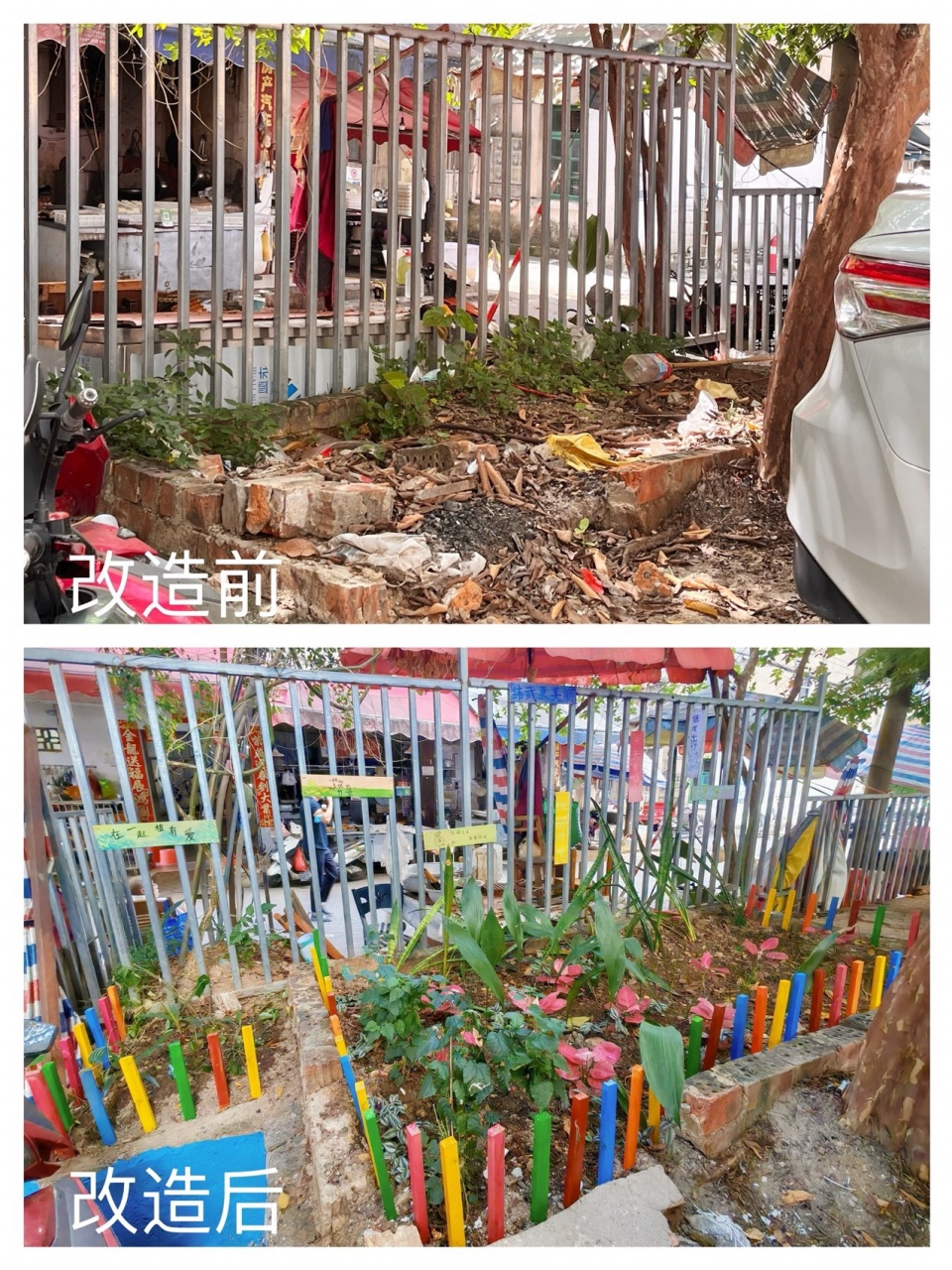 2024 national community garden design competition and community engagement action