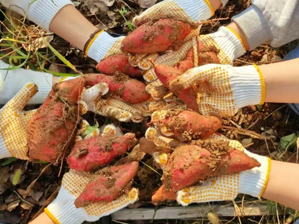 2024 national community garden design competition and community engagement action