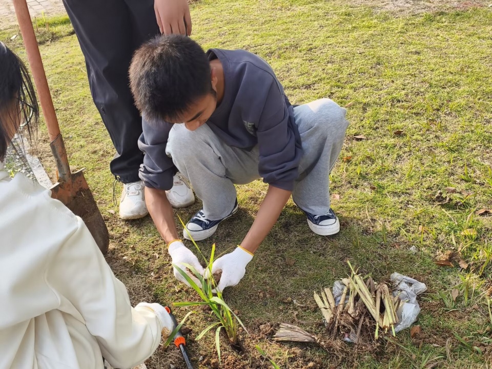 2024 national community garden design competition and community engagement action