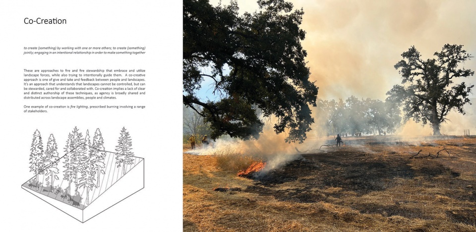 Design by Fire ASLA lo6