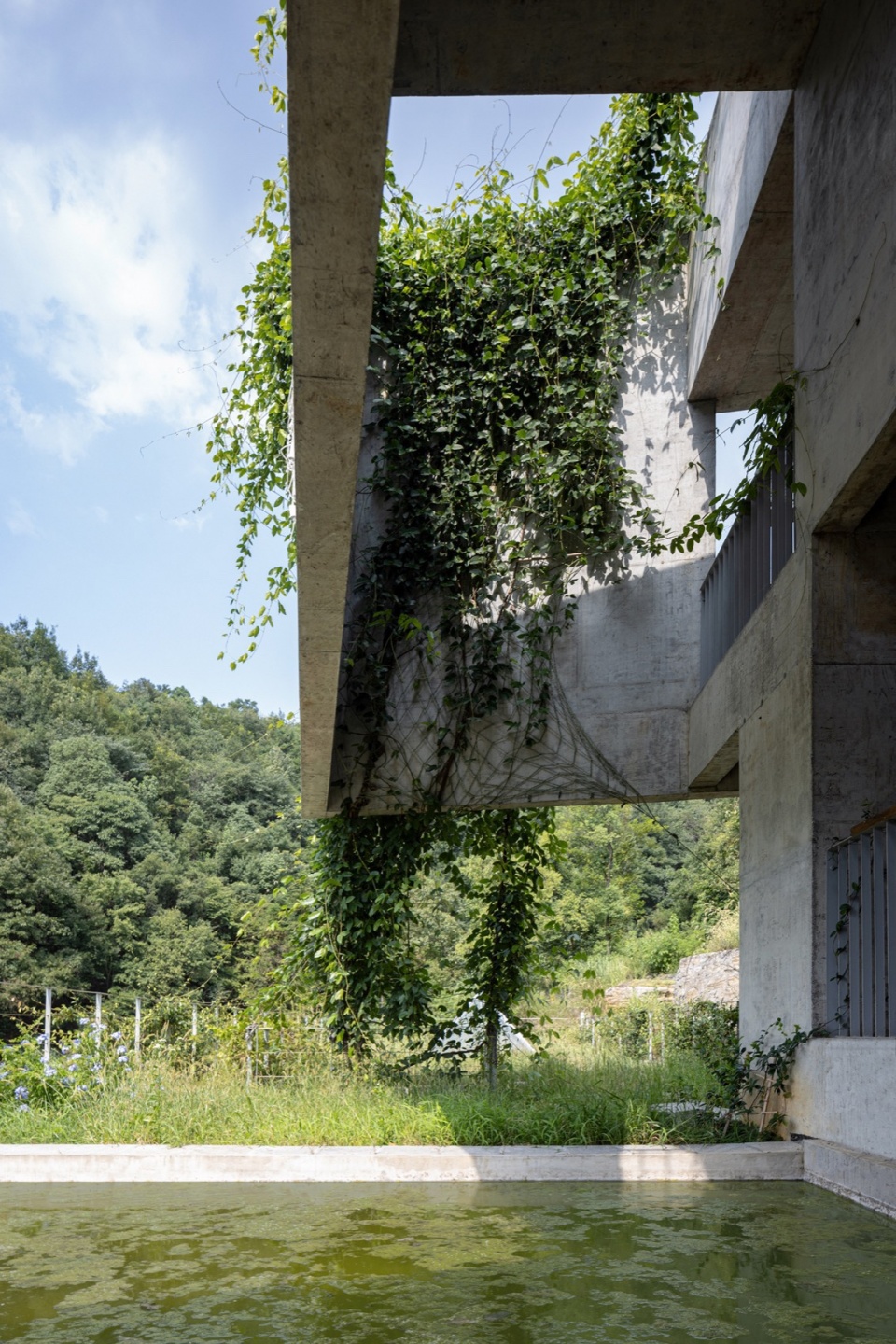 从夹层看©直译 house shiyangshan no 1