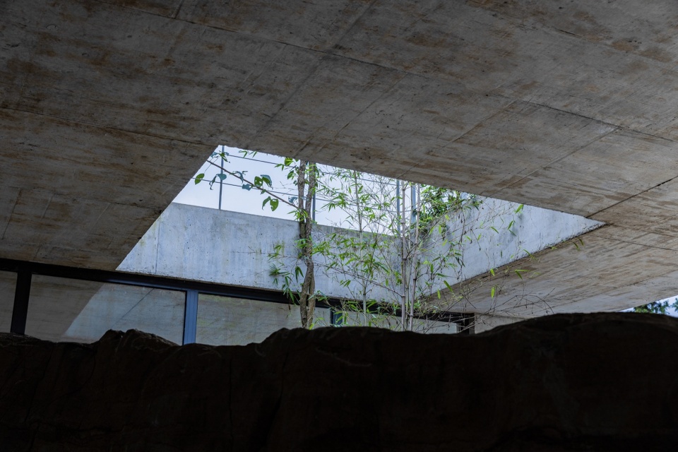 天井©直译 house shiyangshan no 1