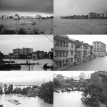 桂头镇湿地公园，广东 / 有限设计工作室