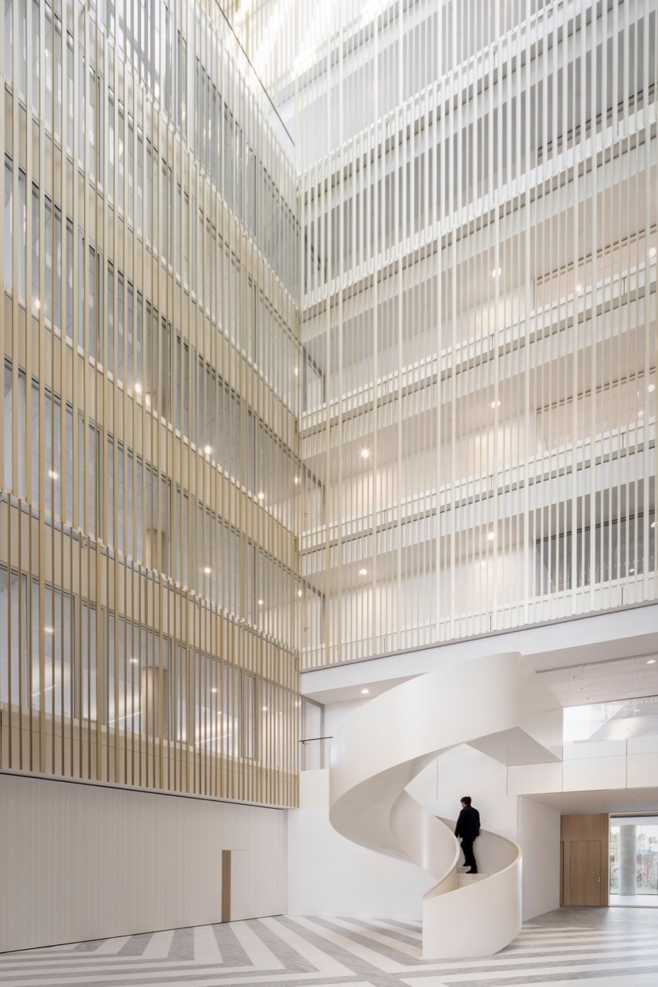 DCB Montana by BAX studio
