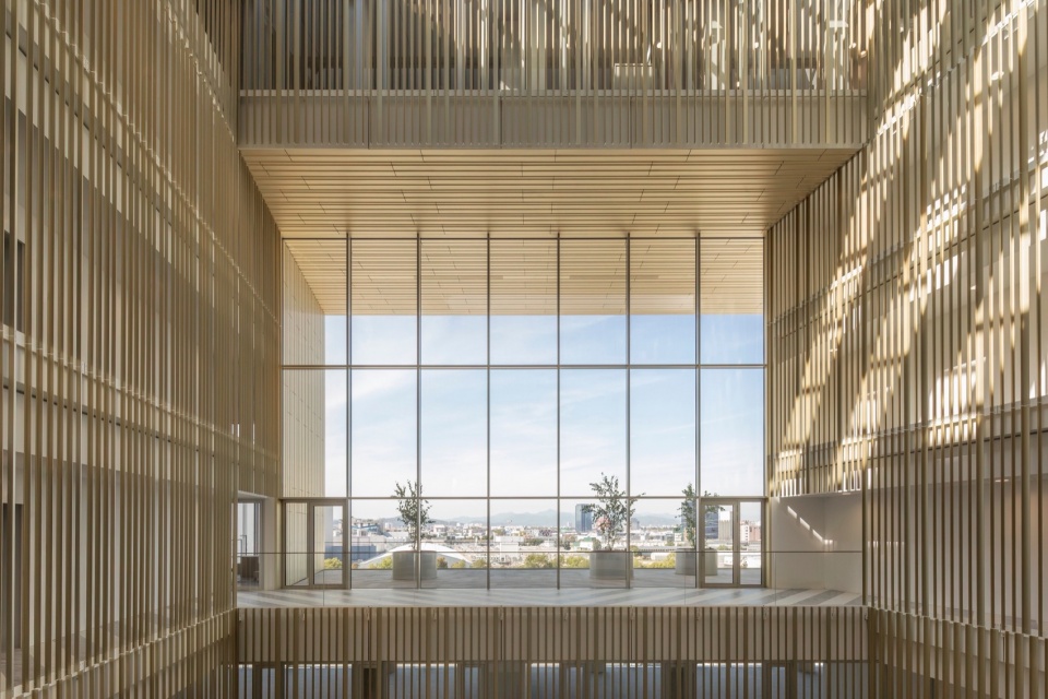 DCB Montana by BAX studio