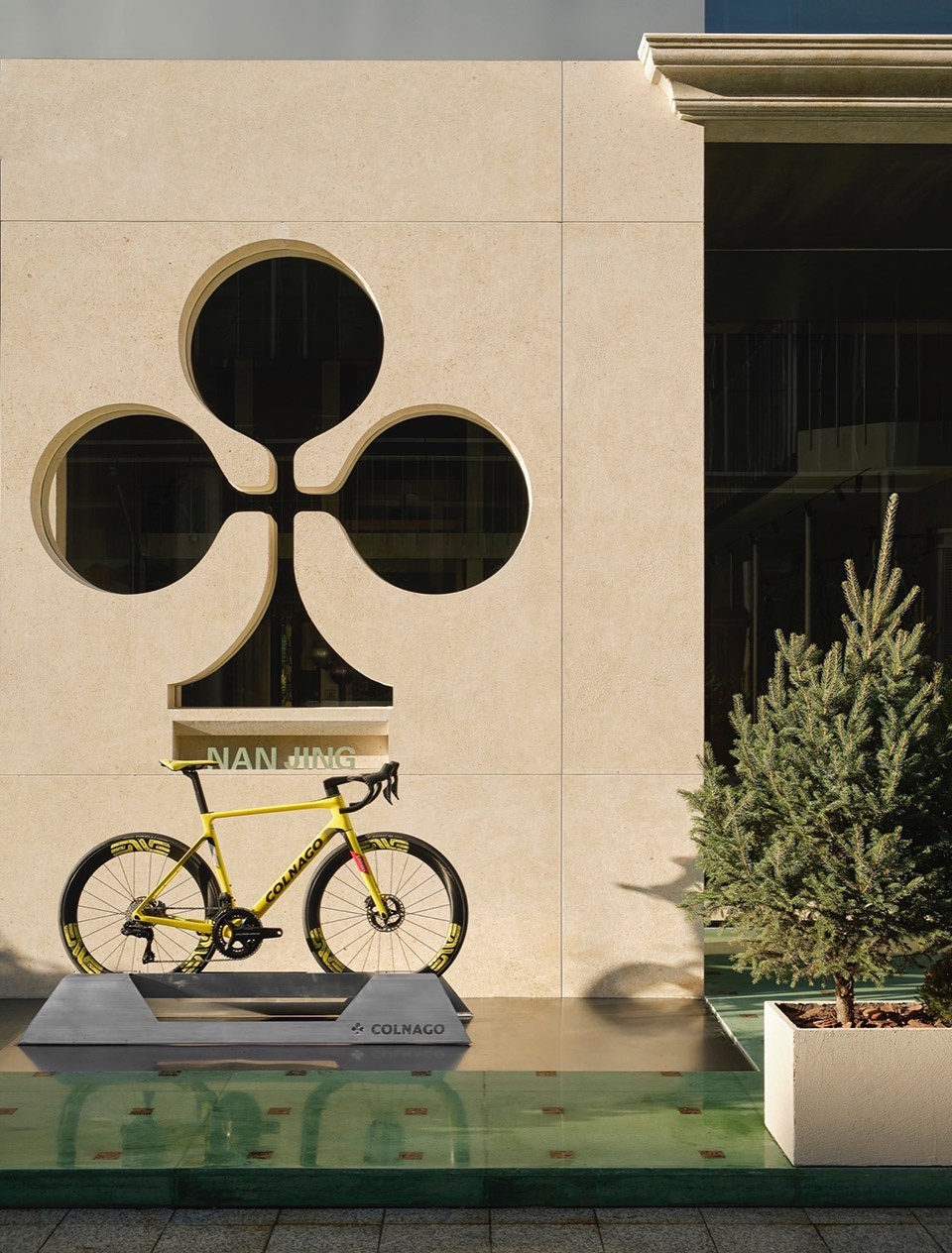 COLNAGO by Go Design studio