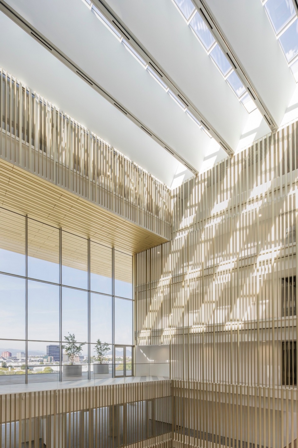 DCB Montana by BAX studio