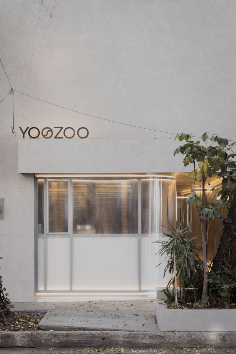 Yoozoo San Luis Worc