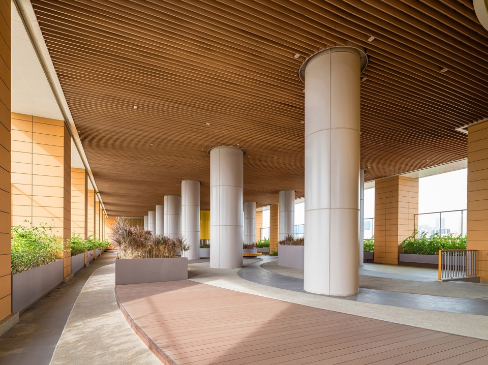 foshan women and children hospital by china ippr international engineering