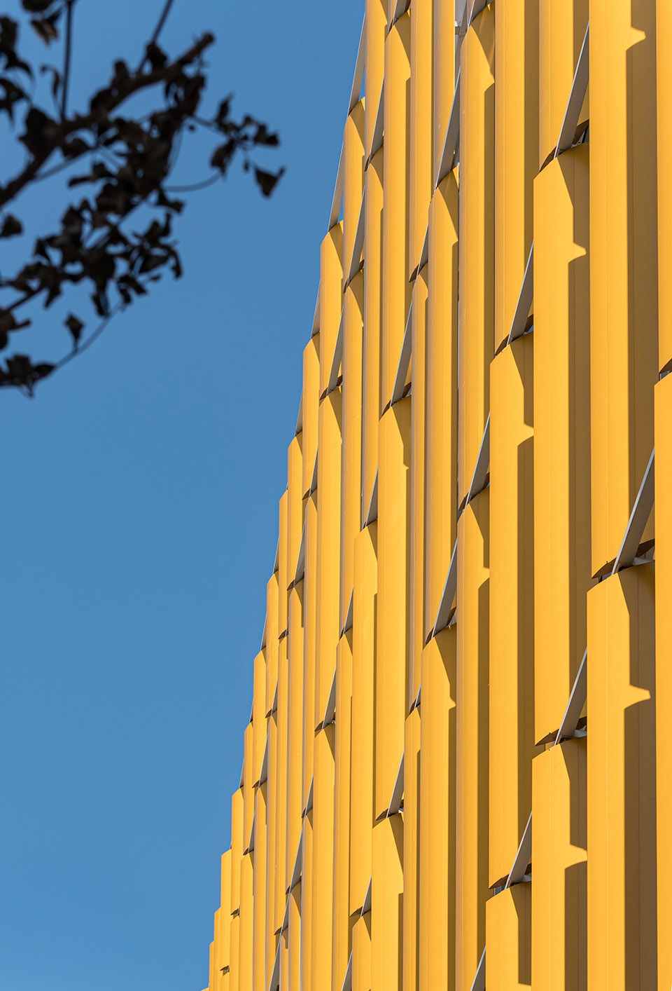 foshan women and children hospital by china ippr international engineering