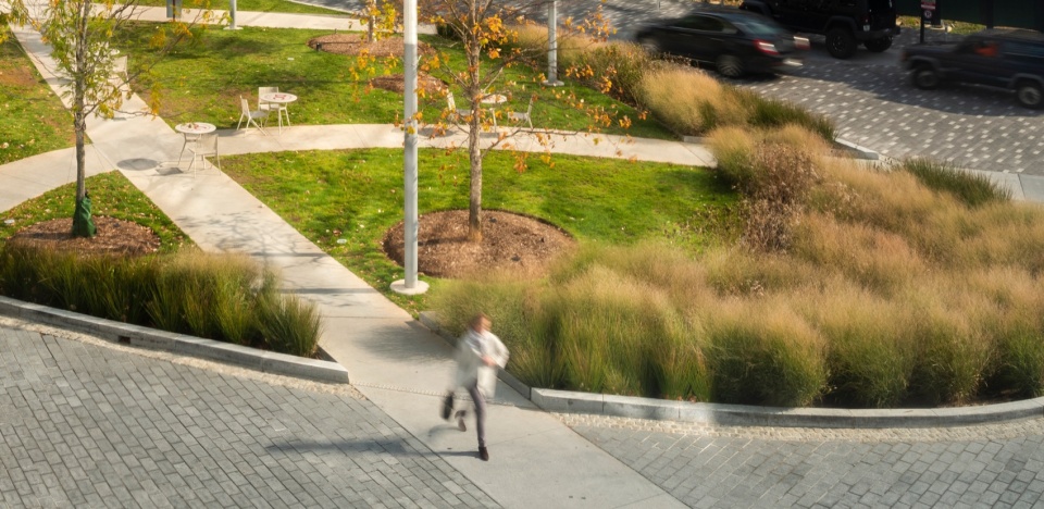 2024 ASLA The Wharf Michael Vergason Landscape Architects