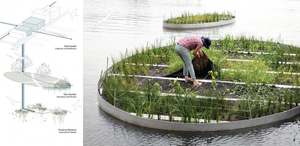 2024 ASLA The Wharf Michael Vergason Landscape Architects