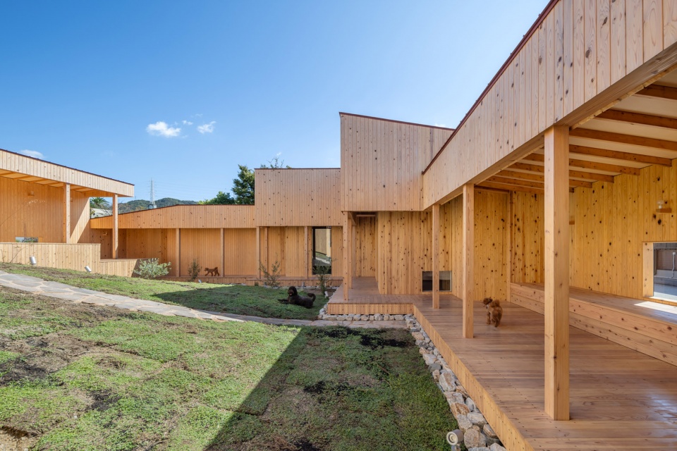 dog villa on awaji island by 1110 office of architecture