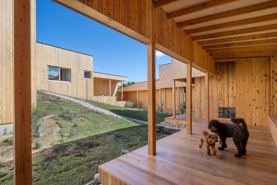 dog villa on awaji island by 1110 office of architecture