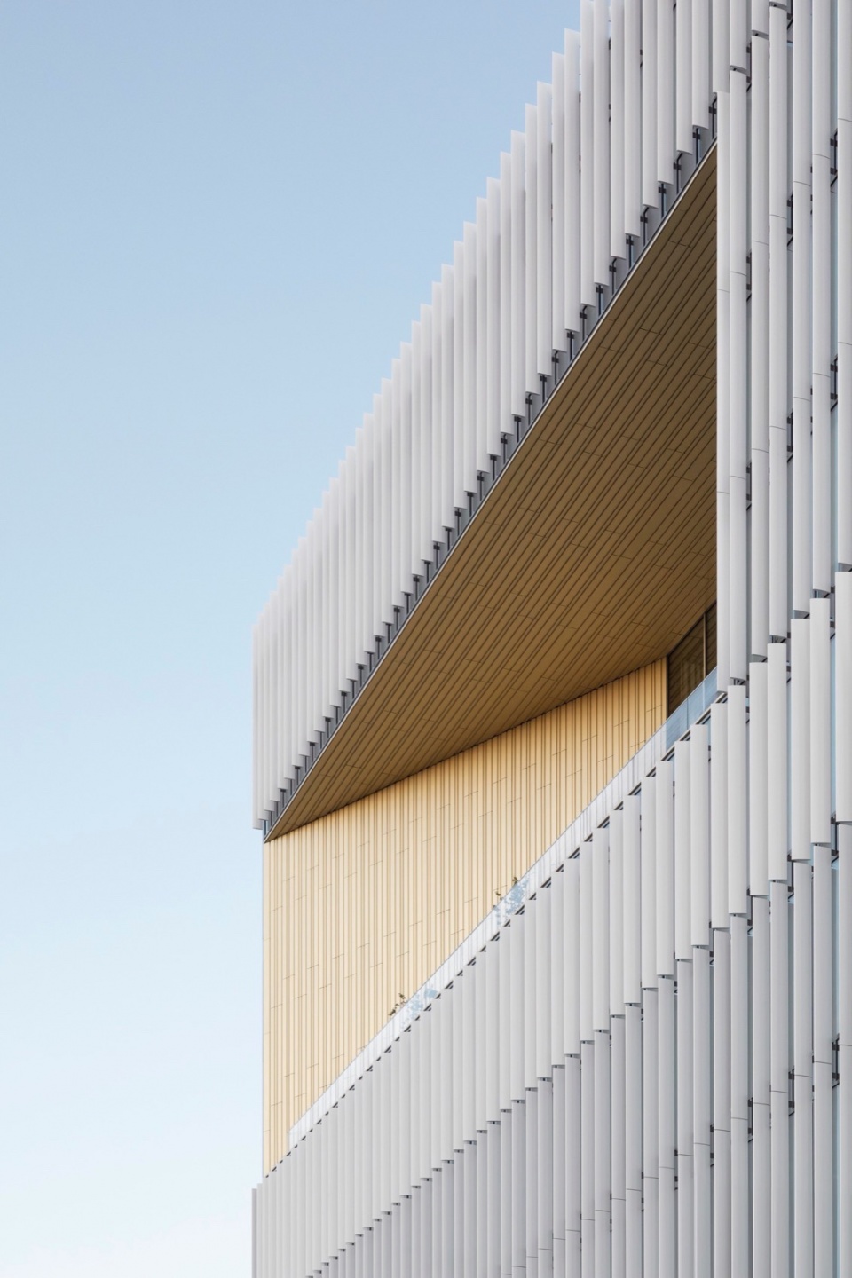 DCB Montana by BAX studio